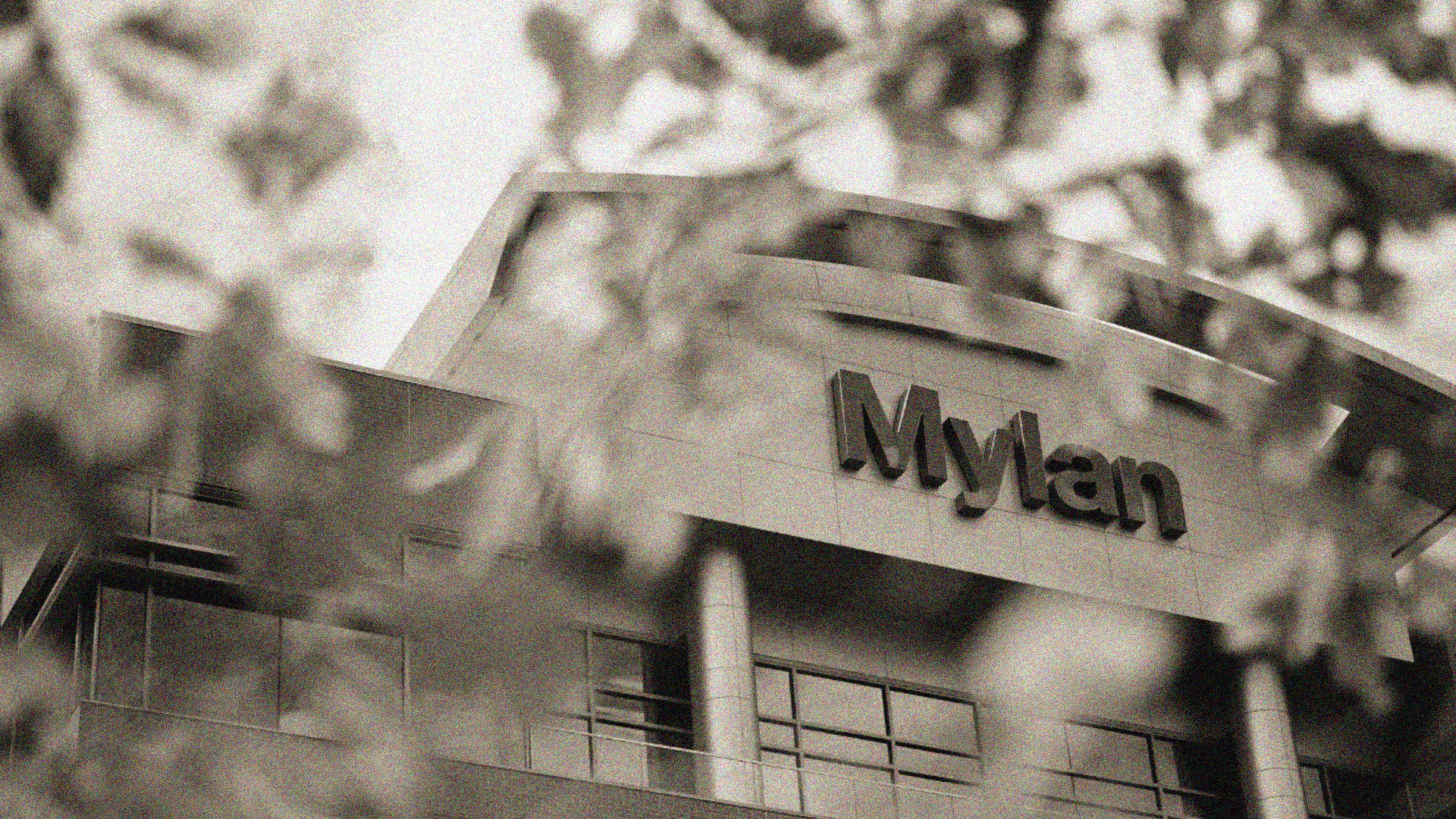 Mylan N.V. Securities Settlement Header Image